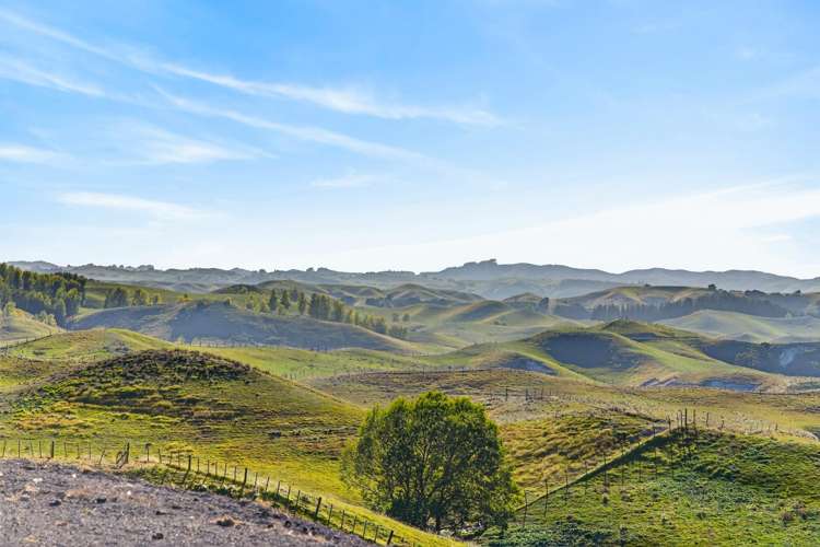 Lot Lot 2/1270 Taihape Road Sherenden_12
