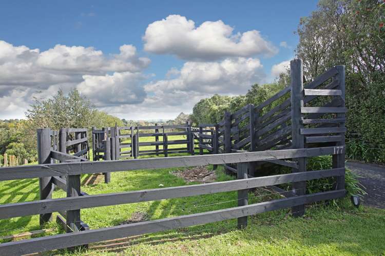 177 Kitchener Road Waiuku_18