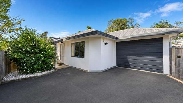 1C Pollen Street, Johnsonville