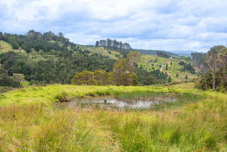 79B Curtis Road Rawene_25