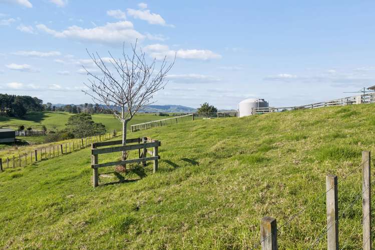 B/157 Te Kauwhata Road Te Kauwhata_29