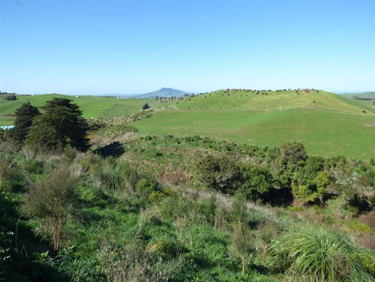 546 Ngutunui Road Otorohanga_27