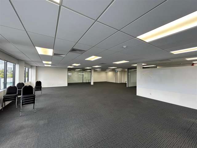 9A Hargreaves Street Freemans Bay_1