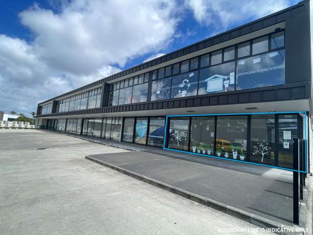 Existing Kitchen on East Tamaki