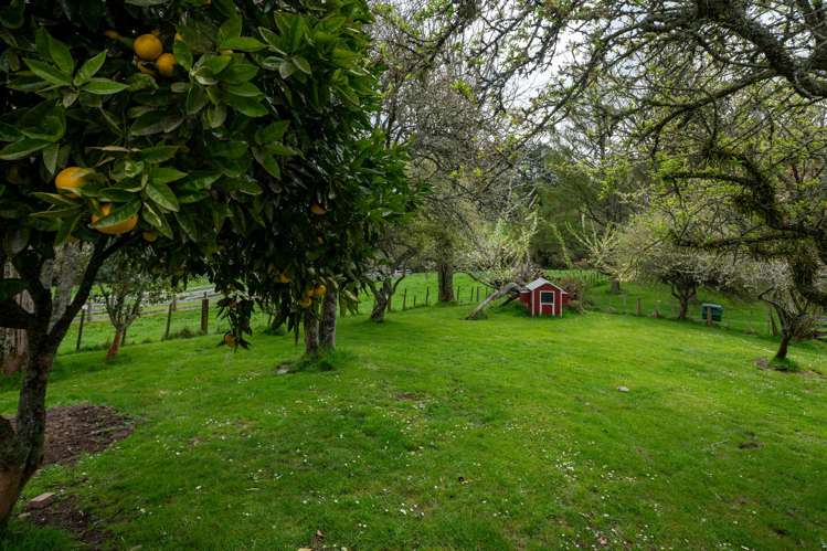 1039 Paradise Valley Road Ngongotaha Valley_35