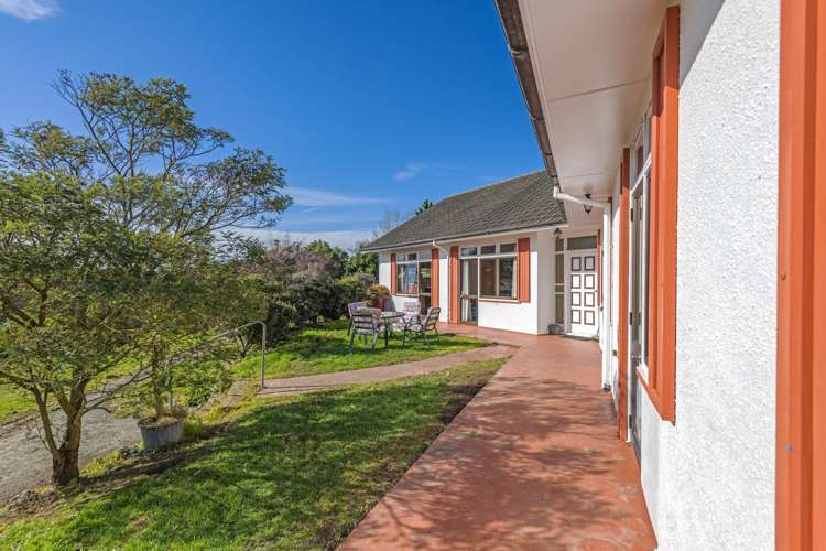 33 Daniell Street Bulls_18