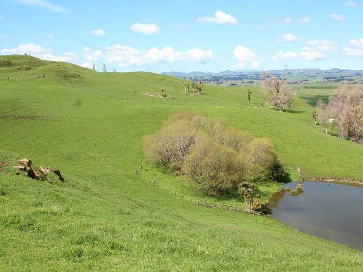 434 Hatuma Road Waipukurau and Surrounds_5