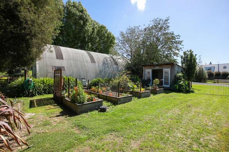 46 Parry Street Pirongia_29