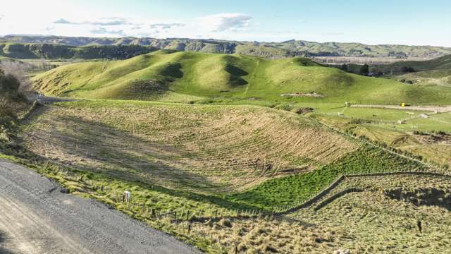 Kawera Road Central Hawkes Bay Coastal_1