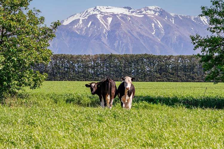 1280 Back Track Rakaia_10