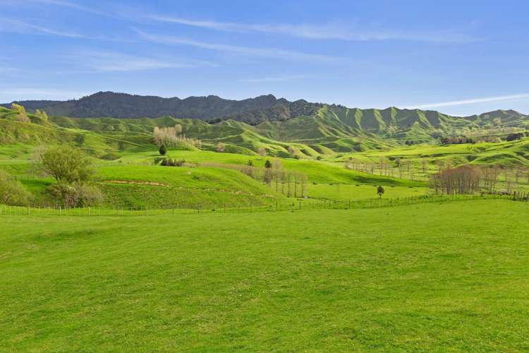 486 Ngatarawa Road Mahoenui_6