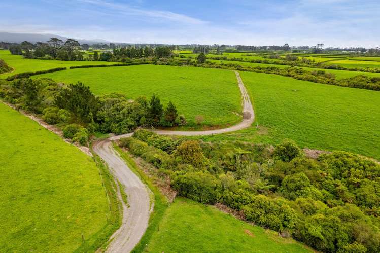 358 Opunake Road Cardiff_12