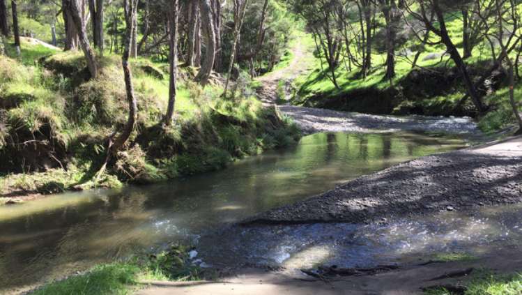 460 Tora Road Tora_12