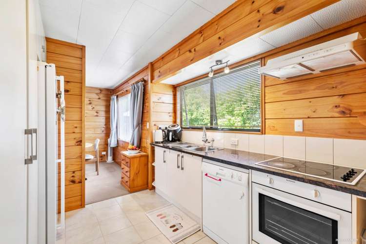 66 Athena Drive Totara Vale_3