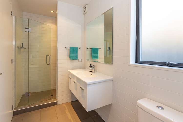 49a Winchester Street Merivale_13