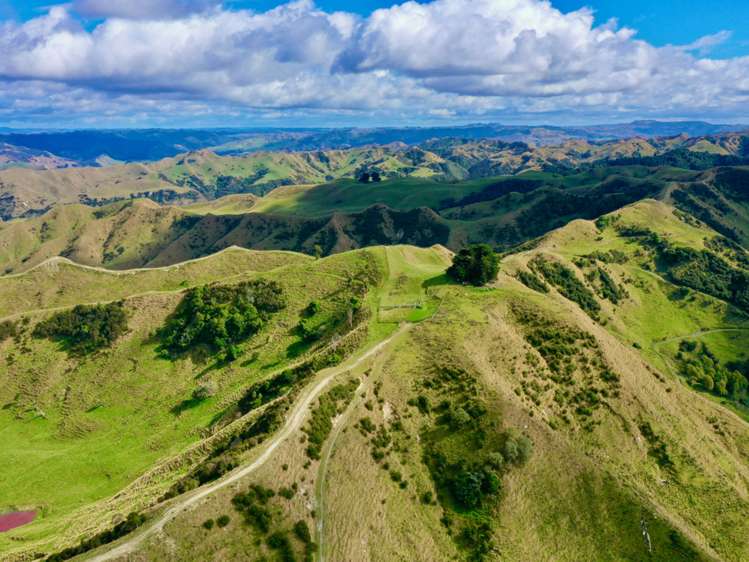 2559 Parapara Road, SH 4 Raetihi Ruapehu Rural Property For Sale