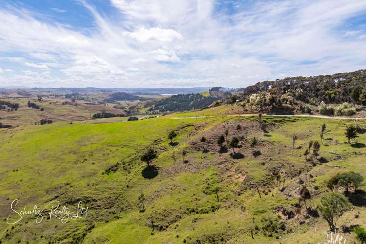 786 Tinopai Road Tinopai_10