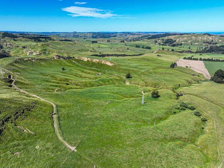 4551 Wairoa Road Tutira_5