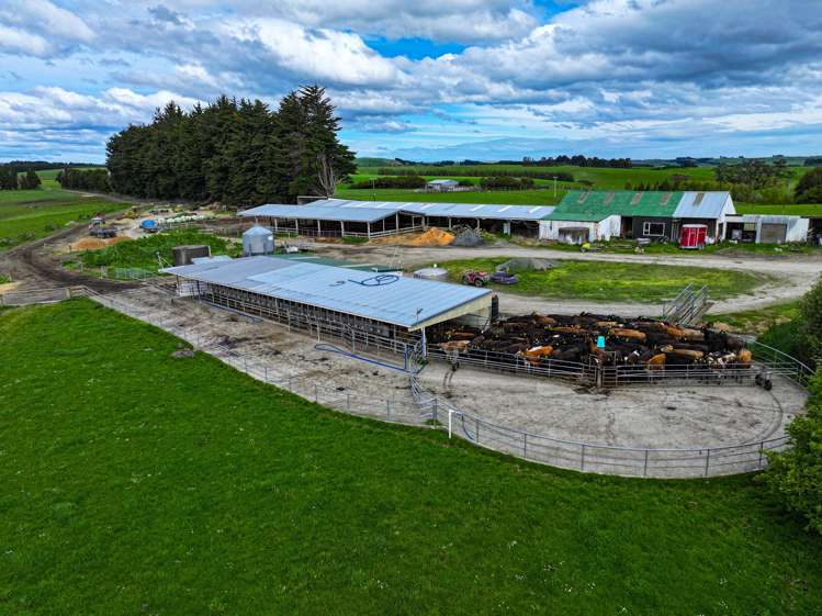 539. Mataura Island Fortrose Road Pine Bush_8