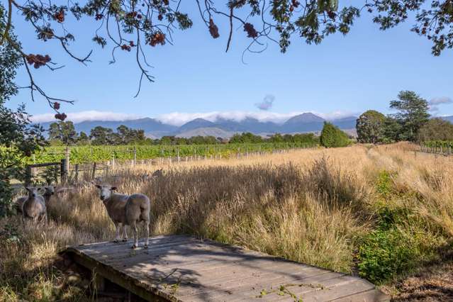 46 Waipipi Road Opaki_4