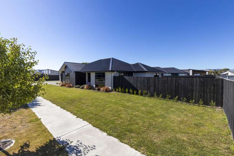 103 Oakley Avenue Springlands_24