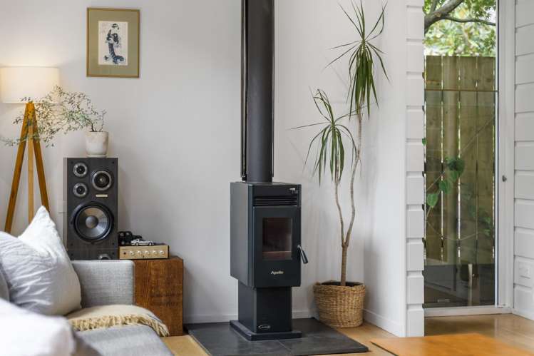 9/4 Niger Street Grey Lynn_5