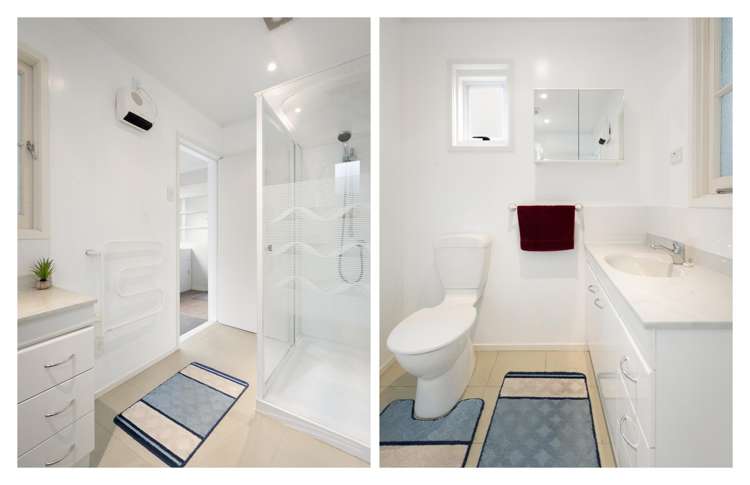 103 & 105 Alfred Street Thames_20