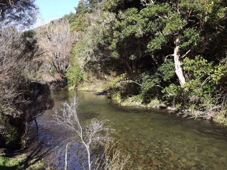 704 Mangatarere Valley Road Carterton_14