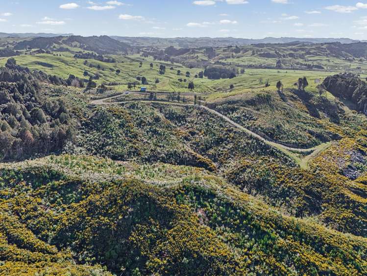 213 Hilford Road Waiotira_5