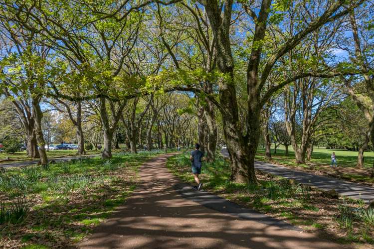 37F Brookfield Avenue Onehunga_13