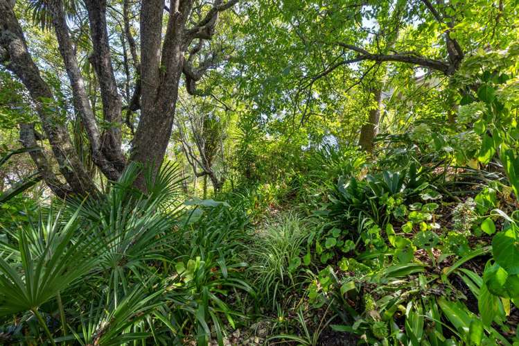 3 Rose Street Raglan_30