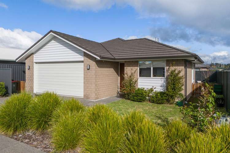 87 Sentinel Avenue Omokoroa_0