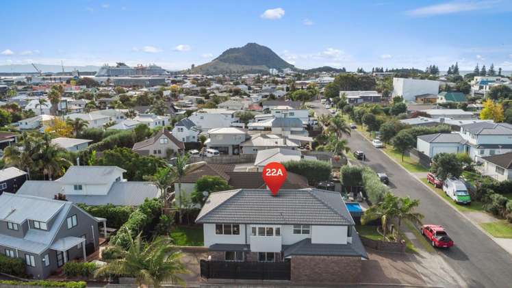 22A Valley Road Mt Maunganui_28