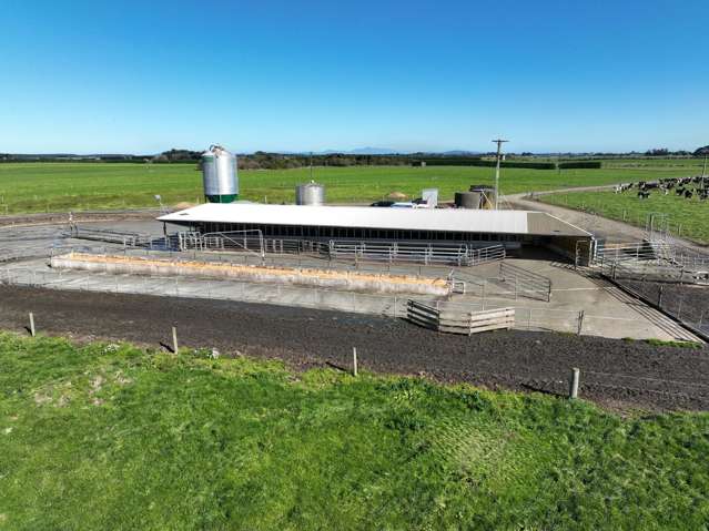 79 Tapper Road, Farm 3 Rimu_2