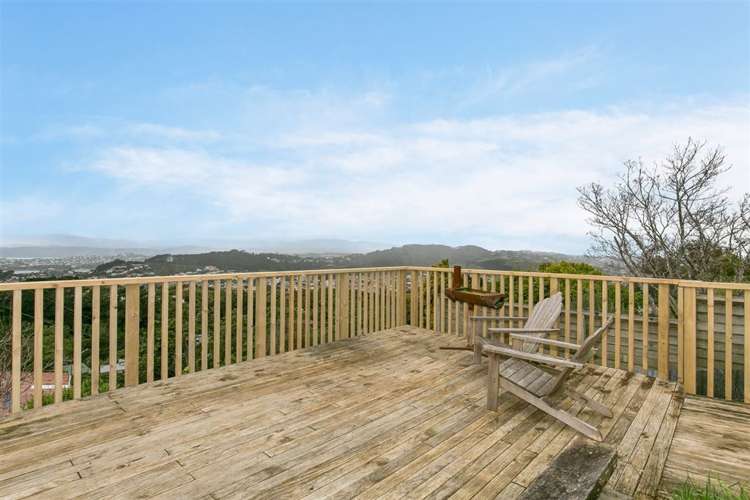 4 Hoggard Street Vogeltown_5