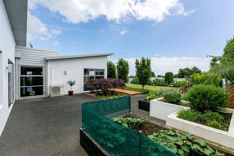 37c Shelter Grove Frankleigh Park_20