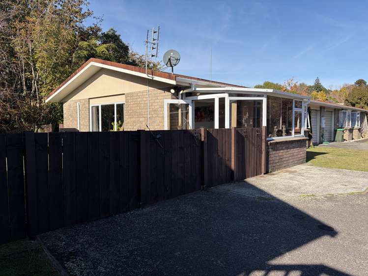 1/9 Pukekohatu Street_1