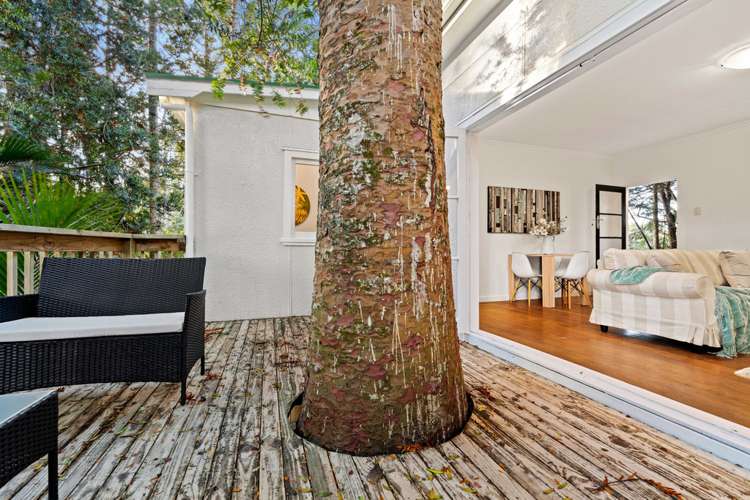 9 Minnehaha Avenue Titirangi_7