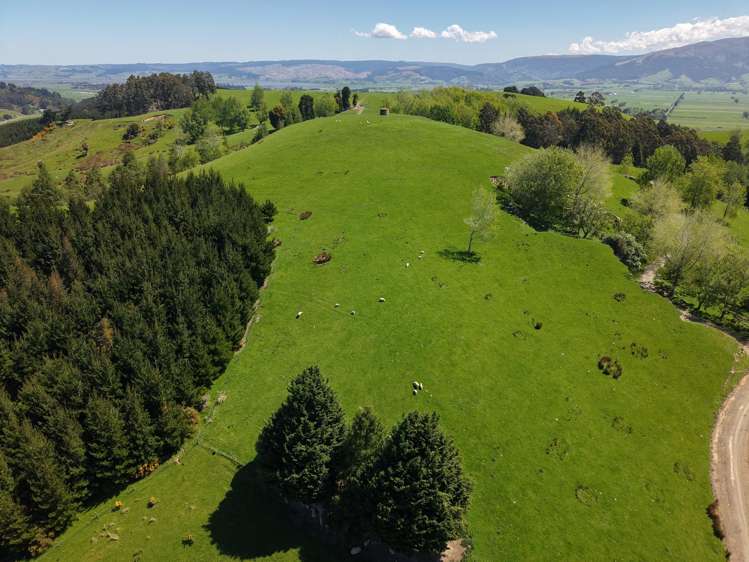 66 Otokia-Kuri Bush Road West Henley_9