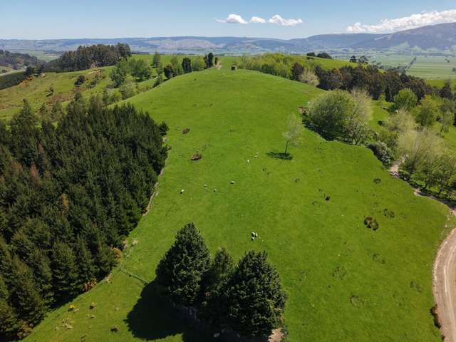 Otokia-Kuri Bush Road West Henley_2