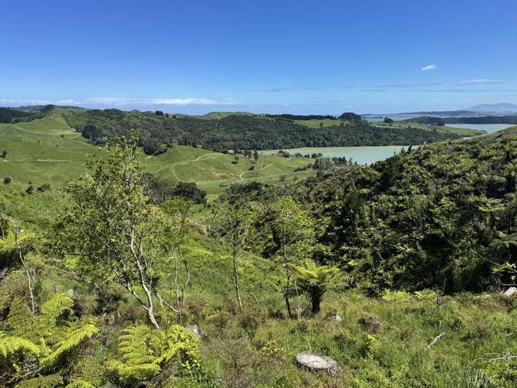 Lot 2 Brown Road Kawhia_10