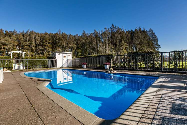 133a Burnside Road Ardmore_17