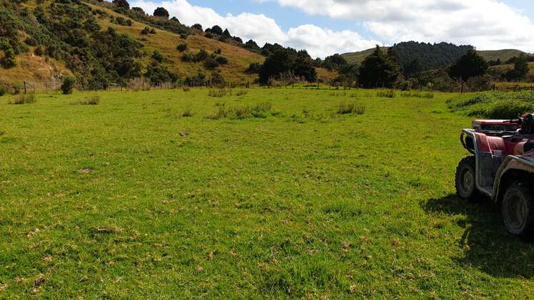 Lot 2/347 Porter Road Paparoa_12