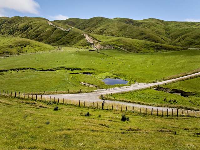 342 Boom Rock Road Ohariu Valley_4