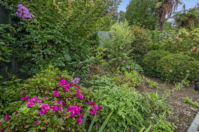 35a Mains Avenue Kensington_4