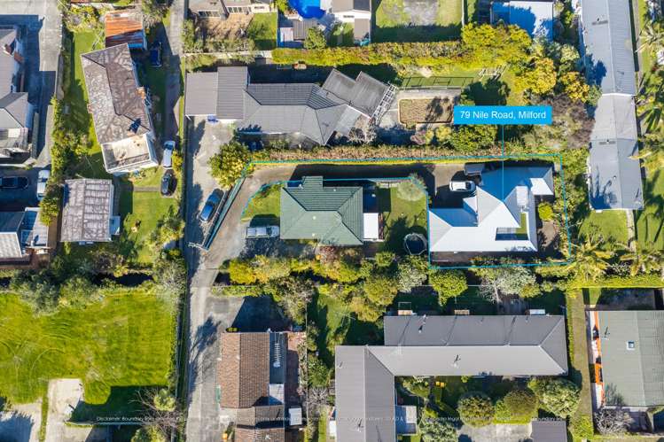 79A Nile Road Milford_28