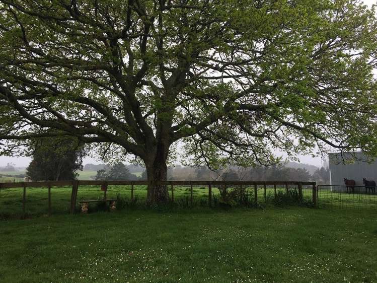 141 Parker Lane Buckland_12