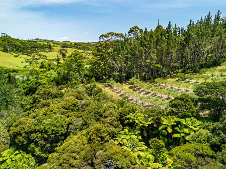 2884A State Highway 10 Mangonui_41