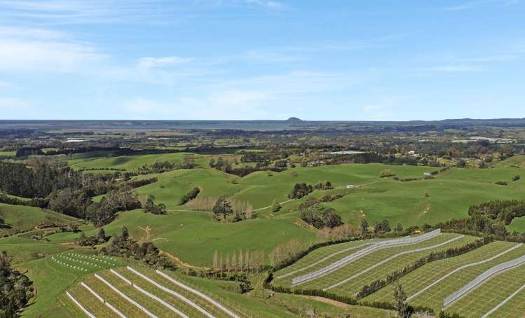 Thompsons Track Aongatete_12