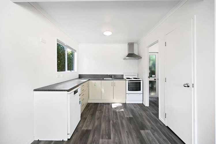 164C Old Farm Road Hamilton East_2